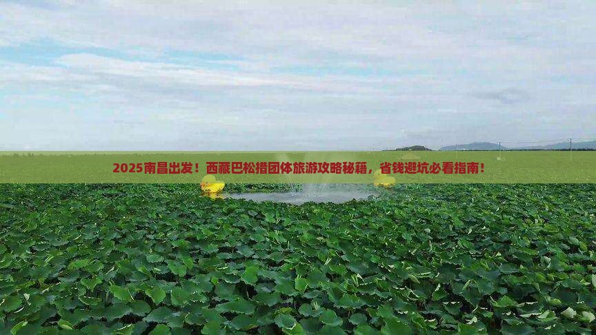 南昌去西藏巴松措团体旅游