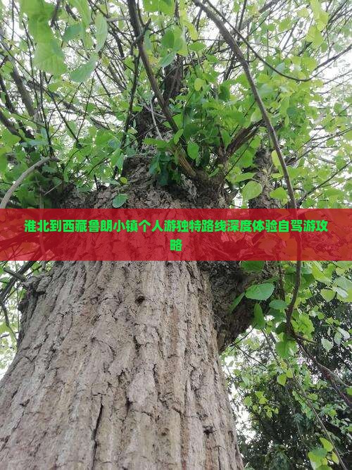 淮北到西藏鲁朗小镇个人游