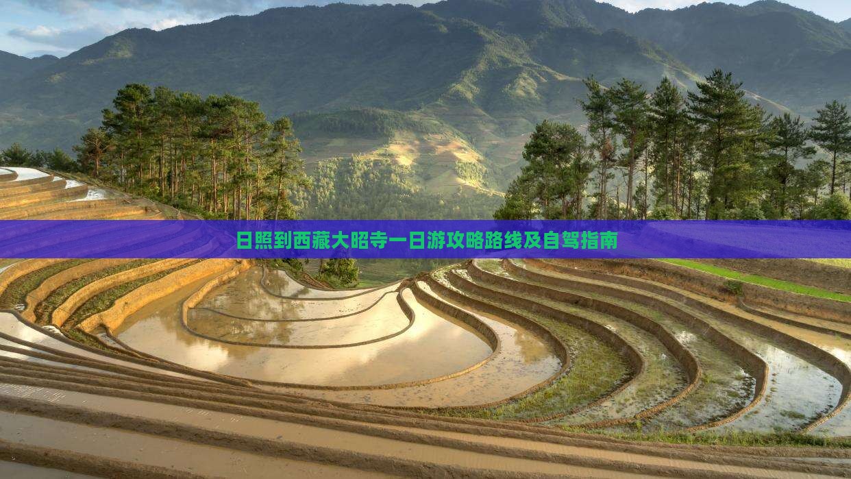 日照到西藏大昭寺一日