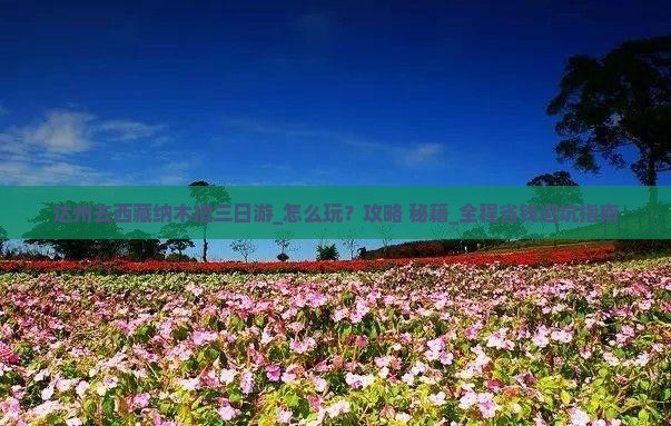 达州去西藏纳木措三日游