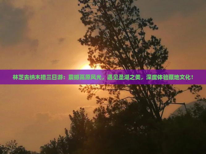 林芝去西藏纳木措三日游 林芝去西藏纳木措三日游