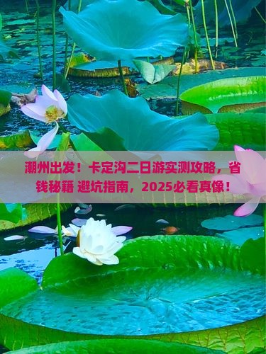 潮州去西藏卡定沟二日游