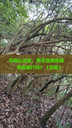 马鞍山到西藏珠峰大本营二日游