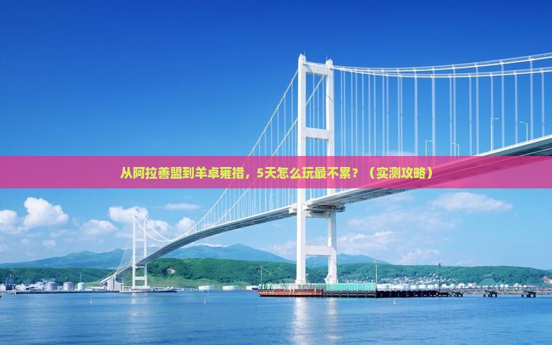 阿拉善盟去西藏羊卓雍措攻略