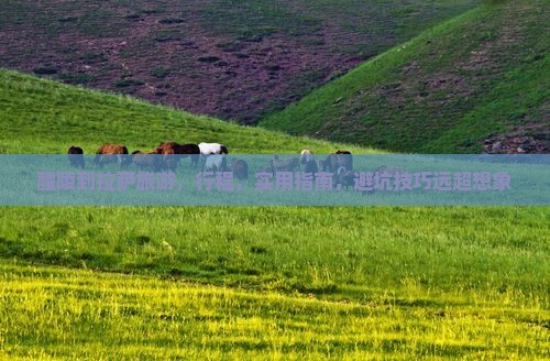 醴陵到西藏拉萨旅游