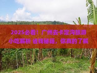 广州去西藏卡定沟旅游小吃