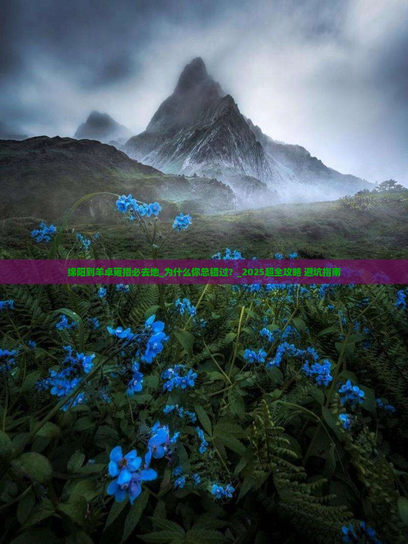 绵阳到西藏羊卓雍措必去地
