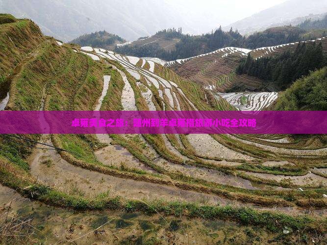 随州到西藏羊卓雍措旅游小吃