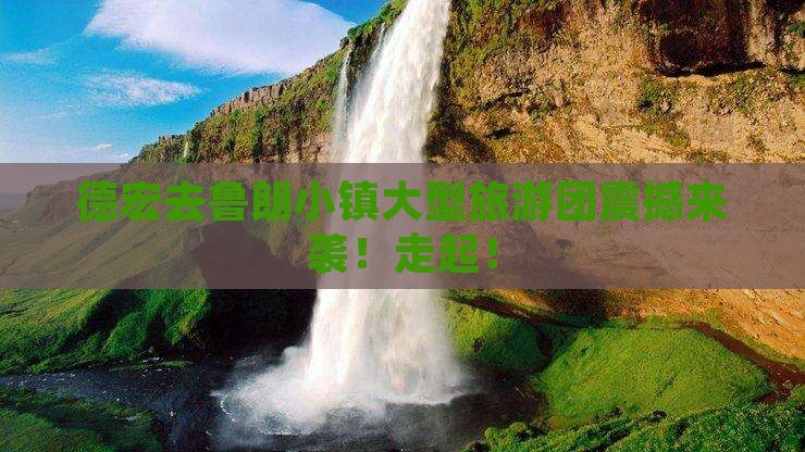 德宏去西藏鲁朗小镇大型旅游团