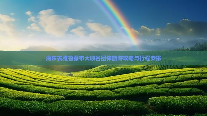 海东去西藏雅鲁藏布大峡谷团体旅游