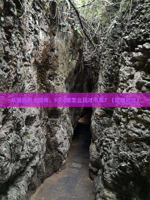 湘西到西藏大昭寺大型旅游团