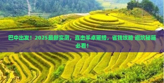 巴中去西藏羊卓雍措景点