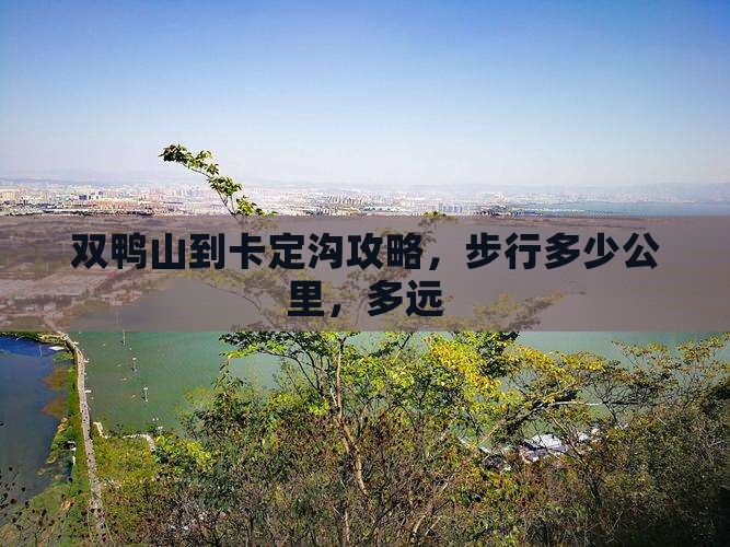 双鸭山到西藏卡定沟攻略