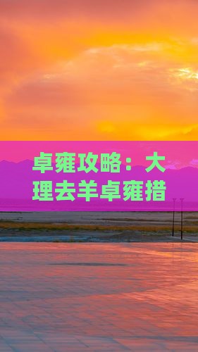 大理去西藏羊卓雍措三日游