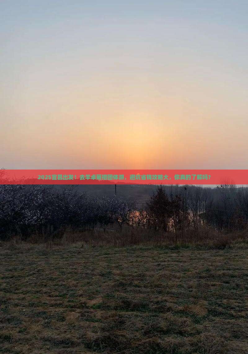 宜昌去西藏羊卓雍措团体旅游