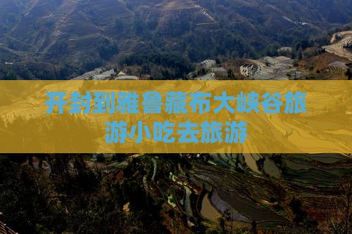 开封到西藏雅鲁藏布大峡谷旅游小吃