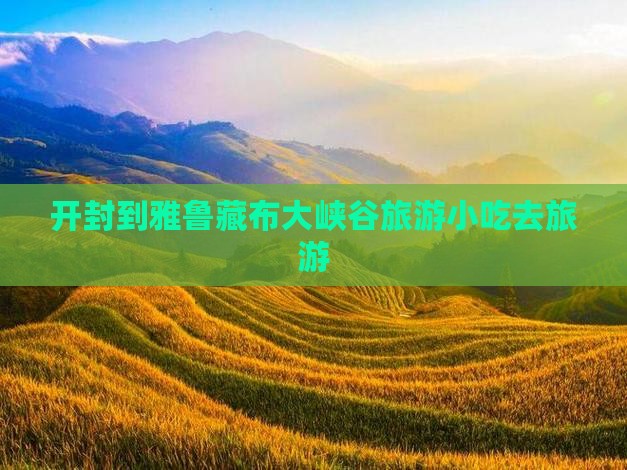 开封到西藏雅鲁藏布大峡谷旅游小吃