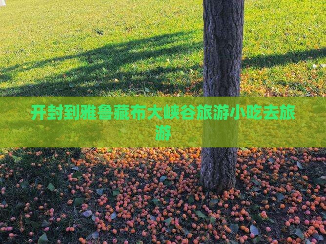 开封到西藏雅鲁藏布大峡谷旅游小吃