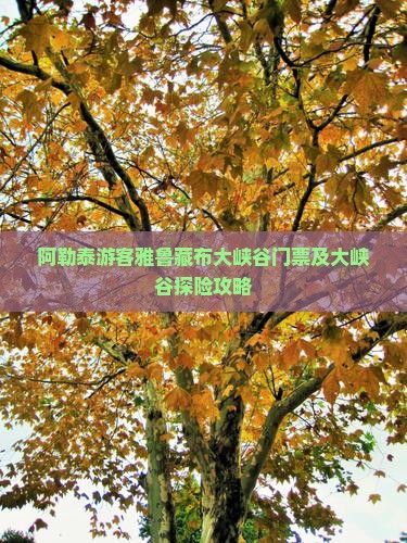 阿勒泰游客雅鲁藏布大峡谷门票及大峡谷探险攻略