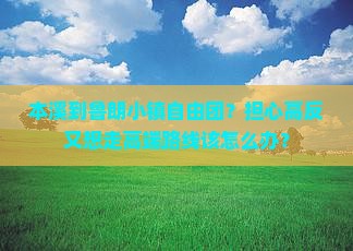 本溪到鲁朗小镇自由团？担心高反又想走高端路线该怎么办？