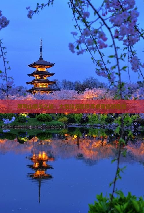 双鸭山藏羊之旅：大型旅游团探寻卓雍旅游胜地