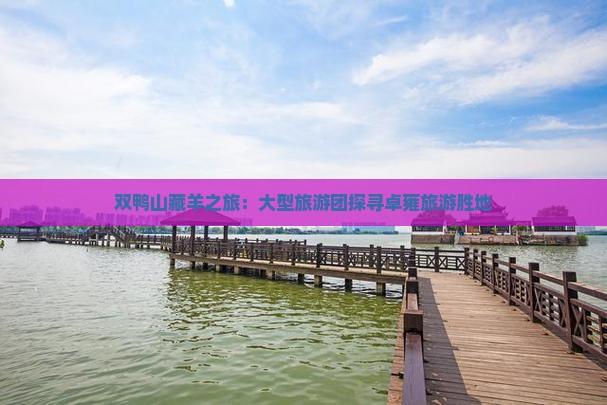 双鸭山藏羊之旅：大型旅游团探寻卓雍旅游胜地