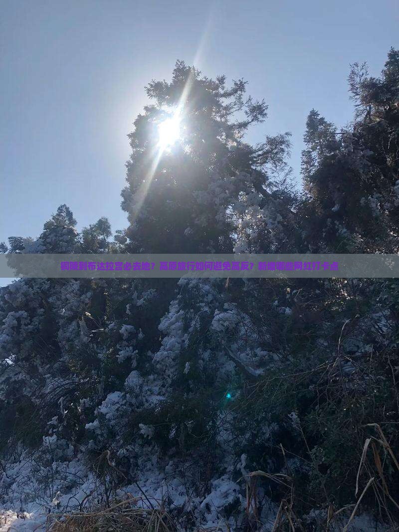 铜陵到布达拉宫必去地？高原旅行如何避免高反？新增哪些网红打卡点