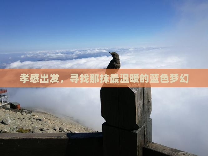 孝感出发，寻找那抹最温暖的蓝色梦幻
