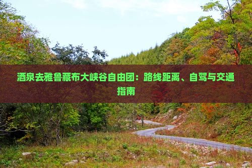 酒泉去雅鲁藏布大峡谷自由团：路线距离、自驾与交通指南