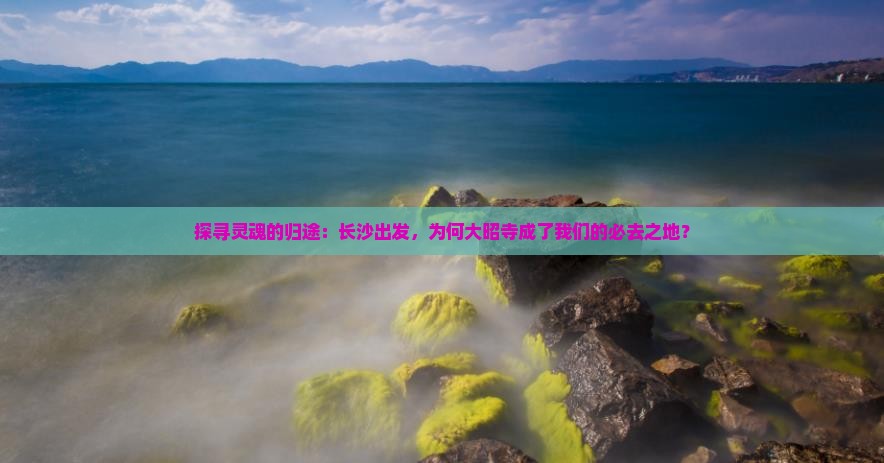 探寻灵魂的归途：长沙出发，为何大昭寺成了我们的必去之地？