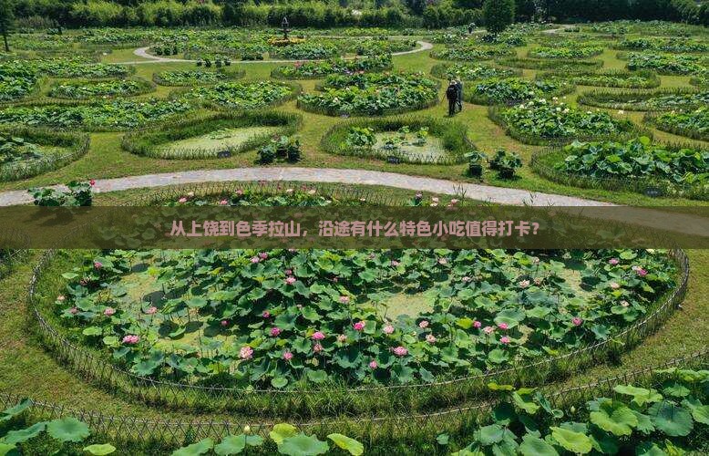 从上饶到色季拉山，沿途有什么特色小吃值得打卡？