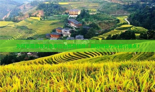 为何资阳游客对色季拉山情有独钟？其独特魅力与旅行痛点！