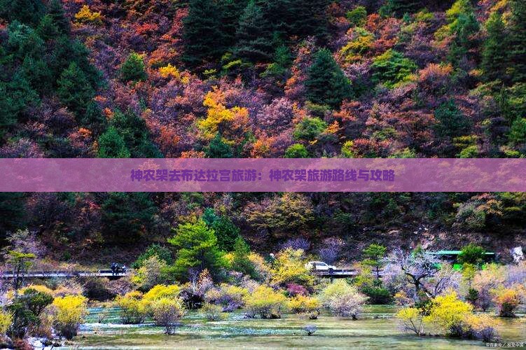 神农架去布达拉宫旅游：神农架旅游路线与攻略