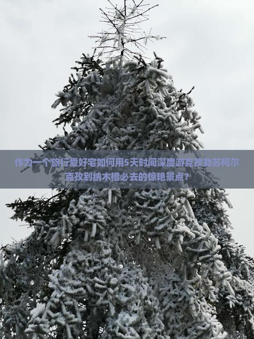 作为一个旅行爱好宅如何用5天时间深度游克孜勒苏柯尔克孜到纳木措必去的惊艳景点？