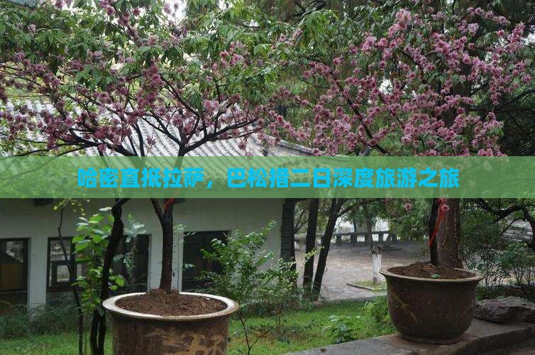 哈密直抵拉萨，巴松措二日深度旅游之旅