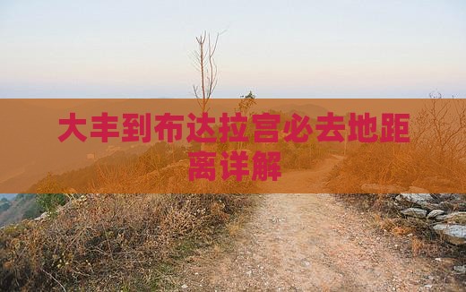 大丰到布达拉宫必去地距离详解