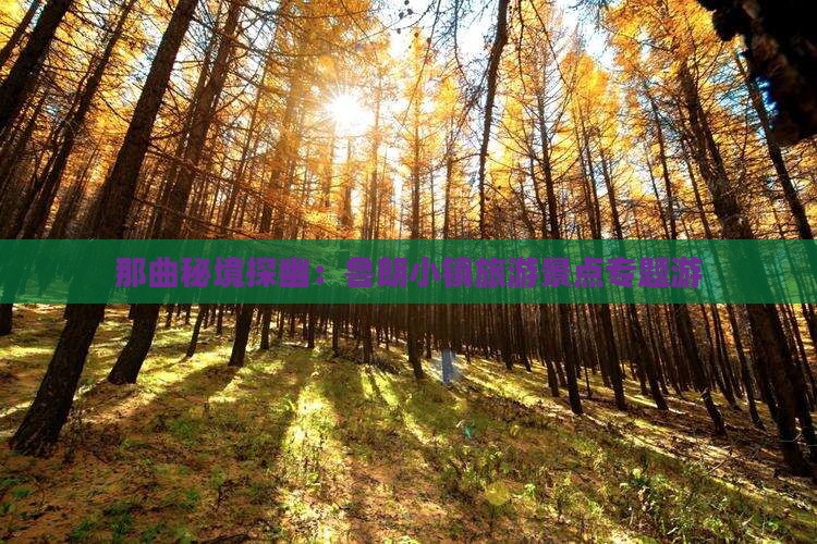 那曲秘境探幽：鲁朗小镇旅游景点专题游