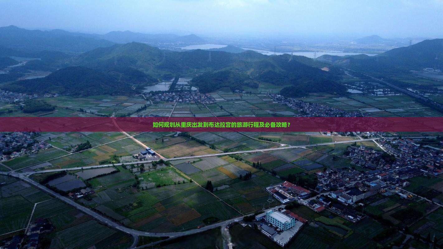 如何规划从重庆出发到布达拉宫的旅游行程及必备攻略？