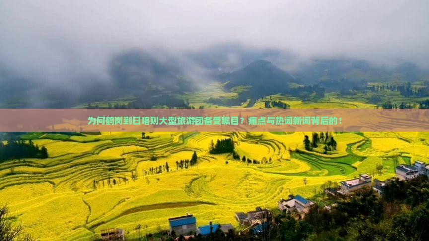 为何鹤岗到日喀则大型旅游团备受瞩目？痛点与热词新词背后的！