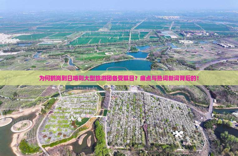 为何鹤岗到日喀则大型旅游团备受瞩目？痛点与热词新词背后的！