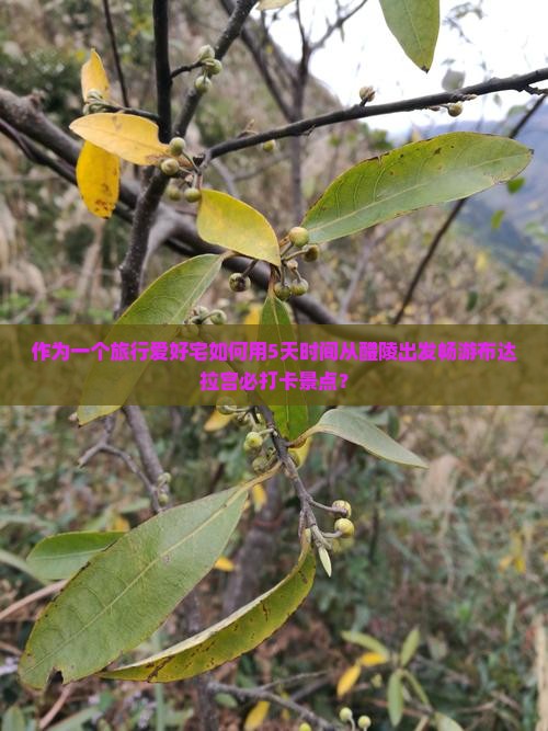 作为一个旅行爱好宅如何用5天时间从醴陵出发畅游布达拉宫必打卡景点？