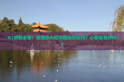 #1游客必看！普洱去大昭寺路线好玩吗？心情会变好吗？