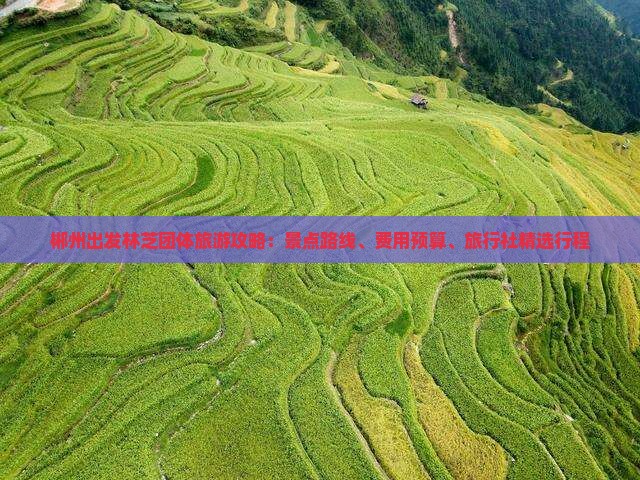 郴州出发林芝团体旅游攻略：景点路线、费用预算、旅行社精选行程