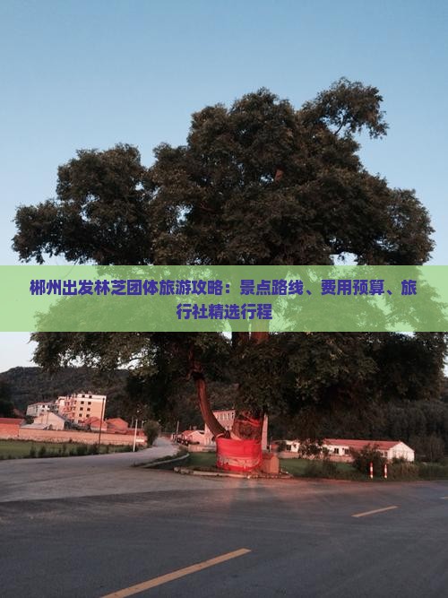 郴州出发林芝团体旅游攻略：景点路线、费用预算、旅行社精选行程