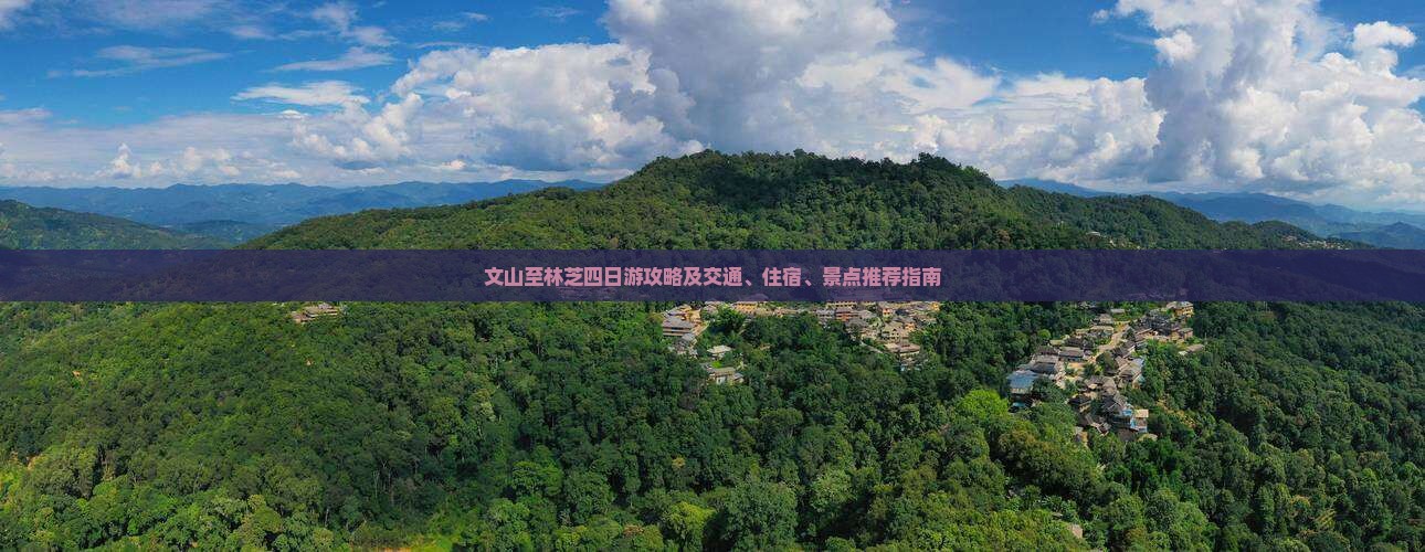 文山至林芝四日游攻略及交通、住宿、景点推荐指南