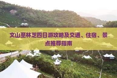 文山至林芝四日游攻略及交通、住宿、景点推荐指南