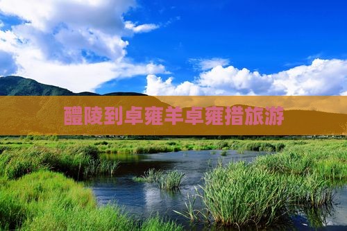 醴陵到卓雍羊卓雍措旅游