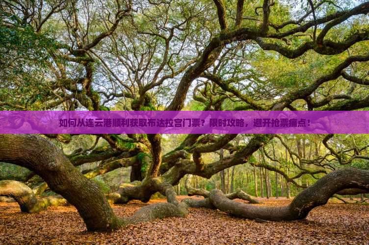 如何从连云港顺利获取布达拉宫门票？限时攻略，避开抢票痛点！