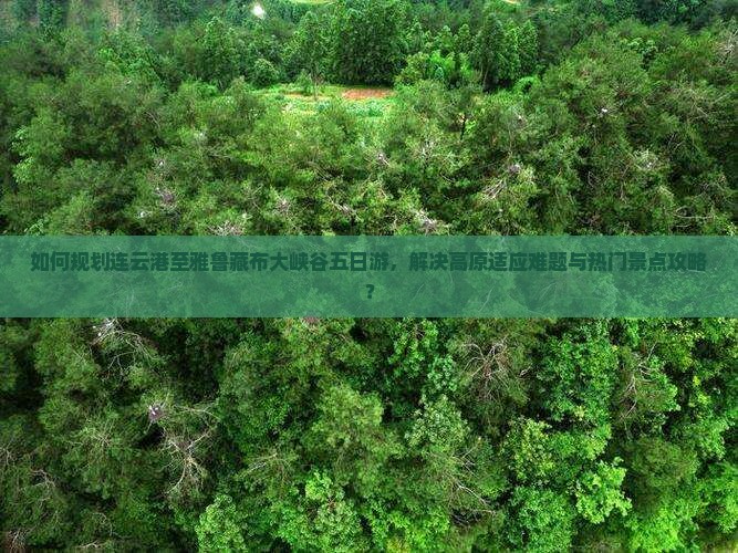 如何规划连云港至雅鲁藏布大峡谷五日游，解决高原适应难题与热门景点攻略？