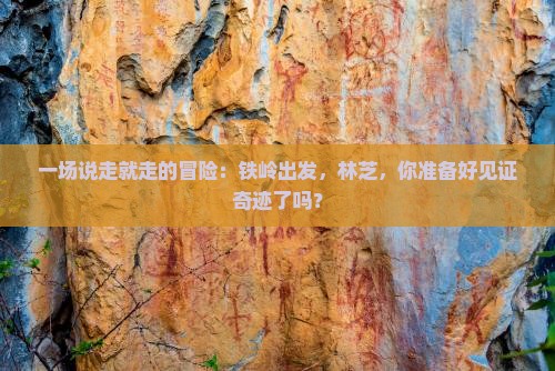 一场说走就走的冒险：铁岭出发，林芝，你准备好见证奇迹了吗？